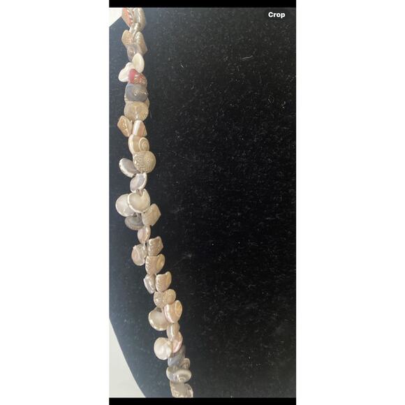 Seashell Necklace 28”Tiny Sundial & Nutmeg Shells No clasp - Picture 2 of 7